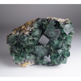 Fluorite Diana Maria Mine - Rogerley M04837